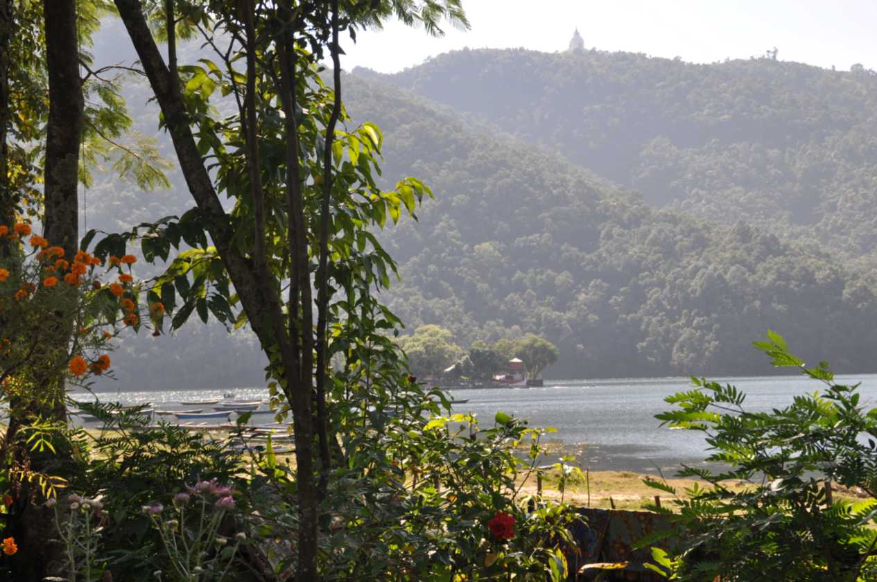 17-029 Pothana-Phedi