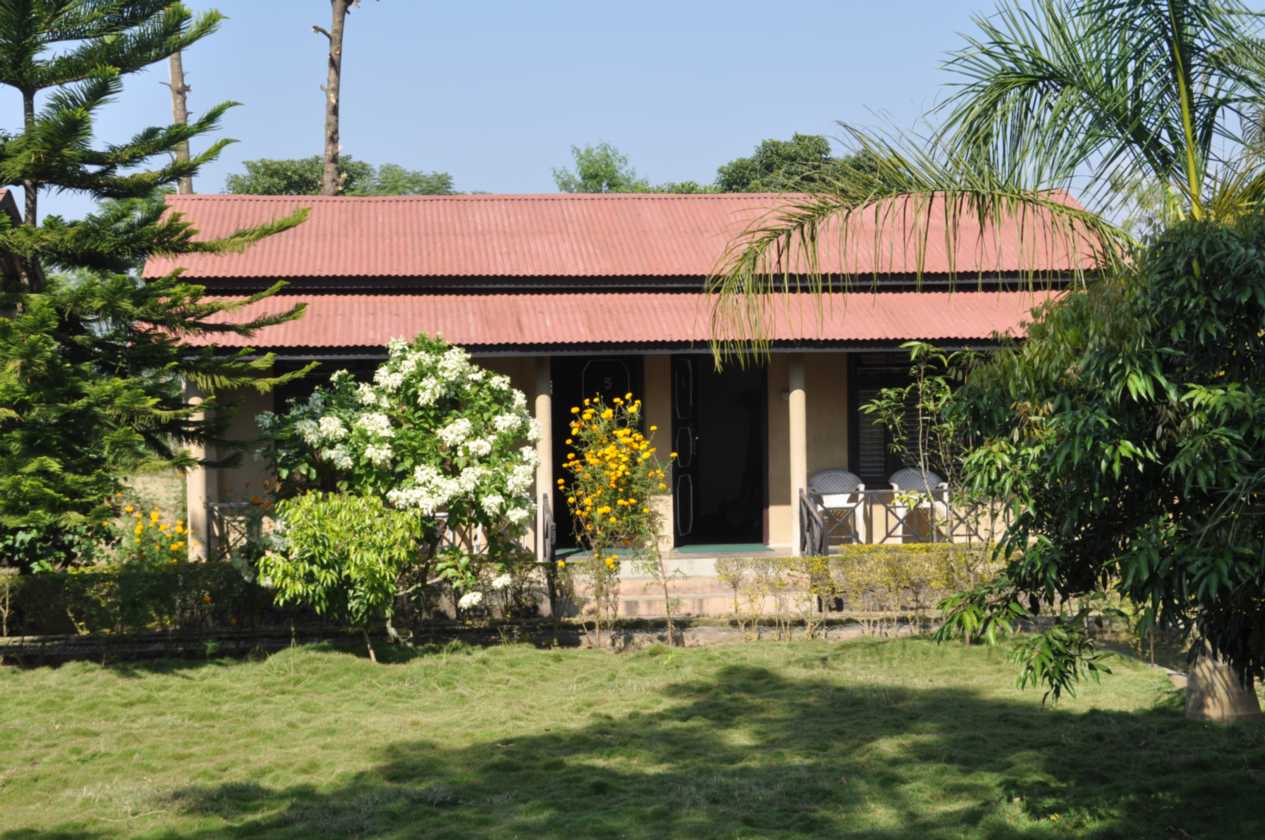 19-004 Chitwan