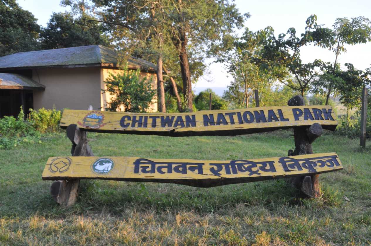 19-010 Chitwan