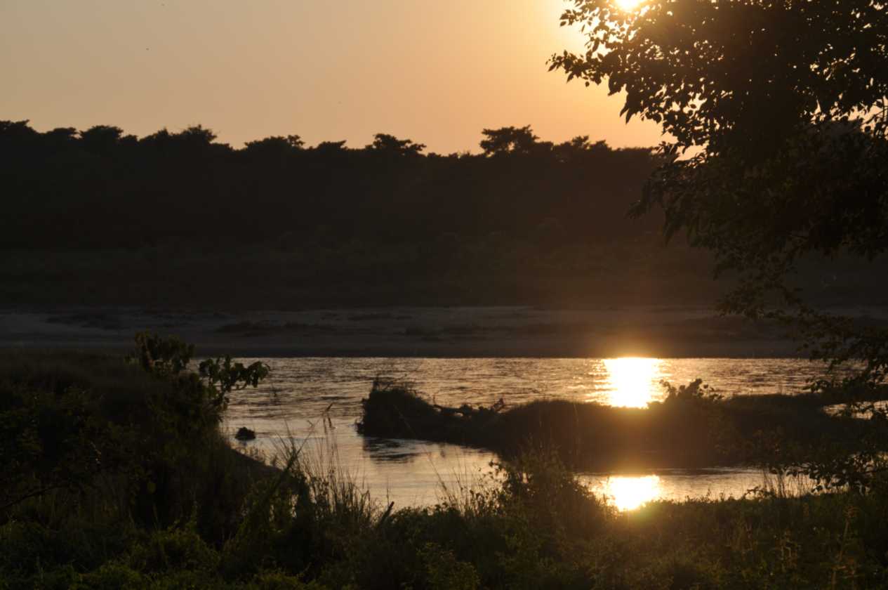 19-011 Chitwan