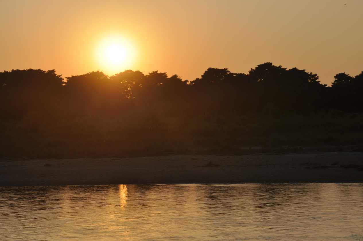 19-013 Chitwan