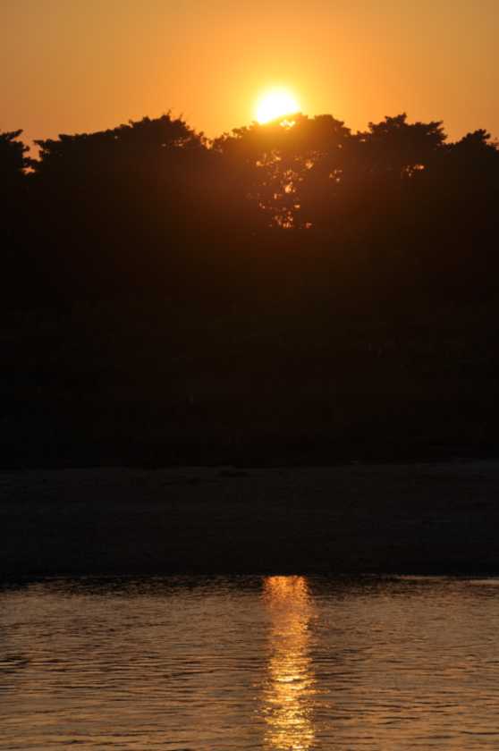 19-014 Chitwan