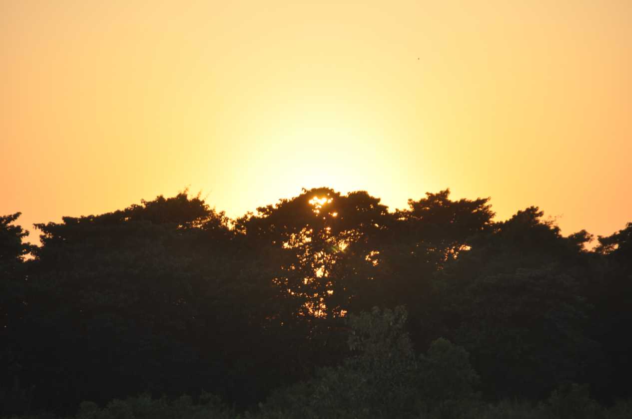19-015 Chitwan