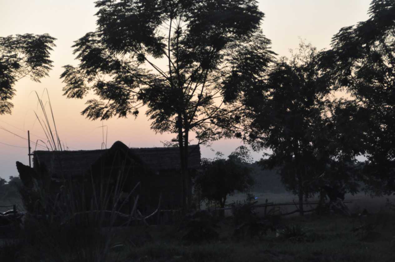 19-017 Chitwan