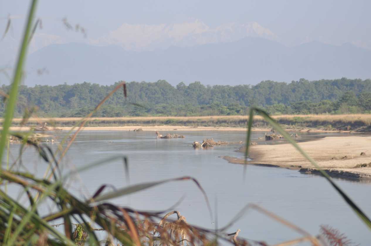 20-011 Chitwan
