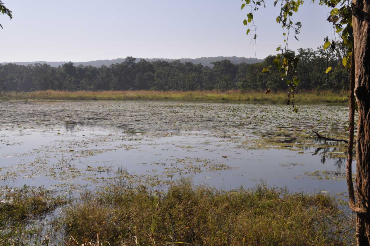 20-015 Chitwan