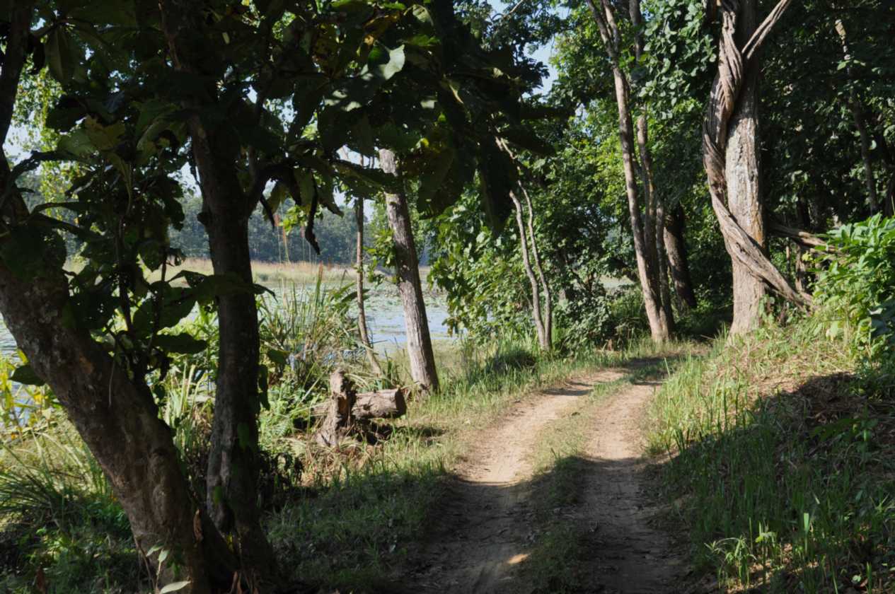 20-016 Chitwan