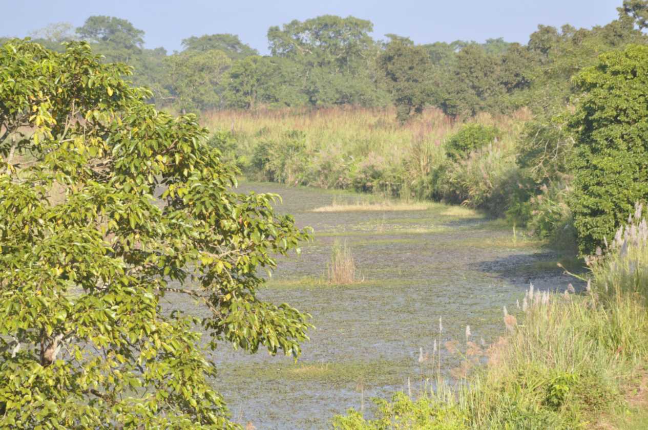 20-044 Chitwan
