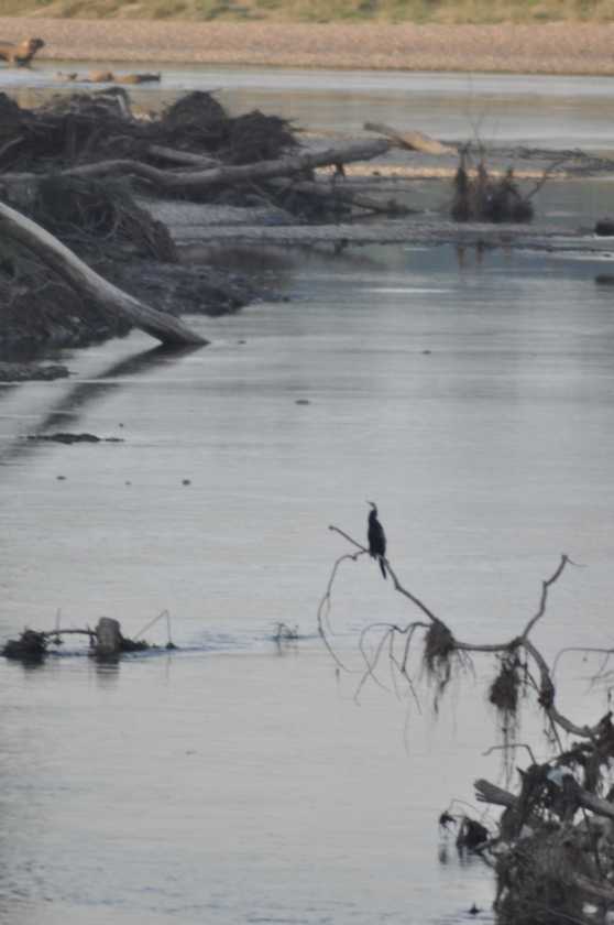 20-048 Chitwan