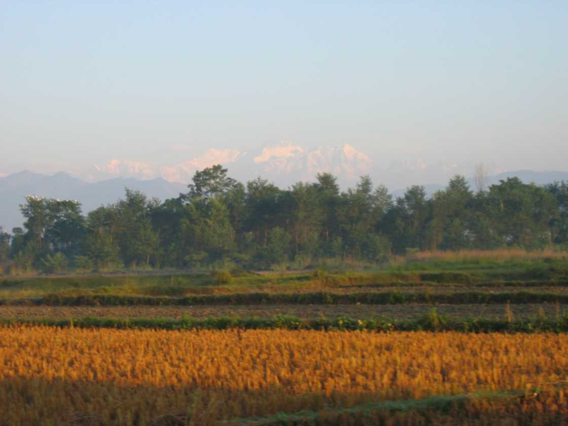 21-004 Chitwan