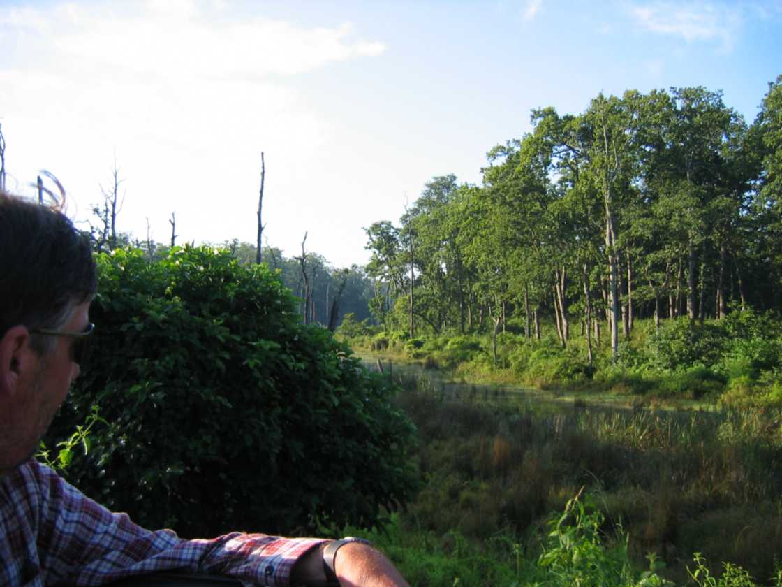 21-009 Chitwan