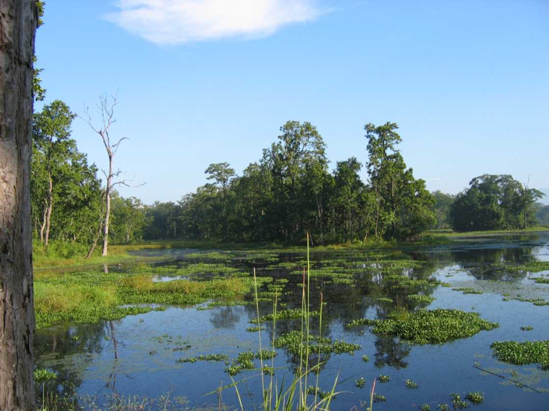 21-014 Chitwan