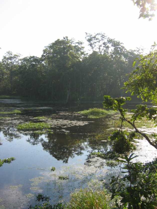 21-015 Chitwan