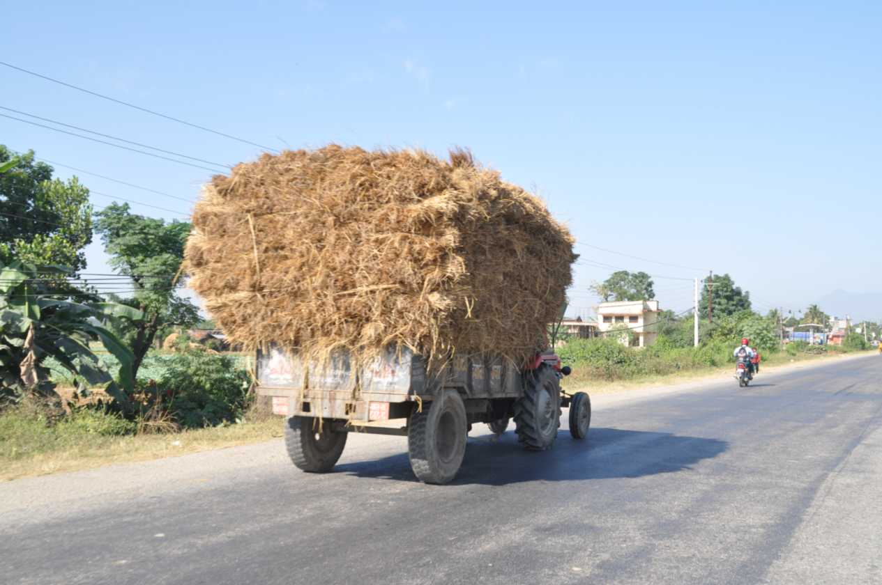 21-028 Chitwan