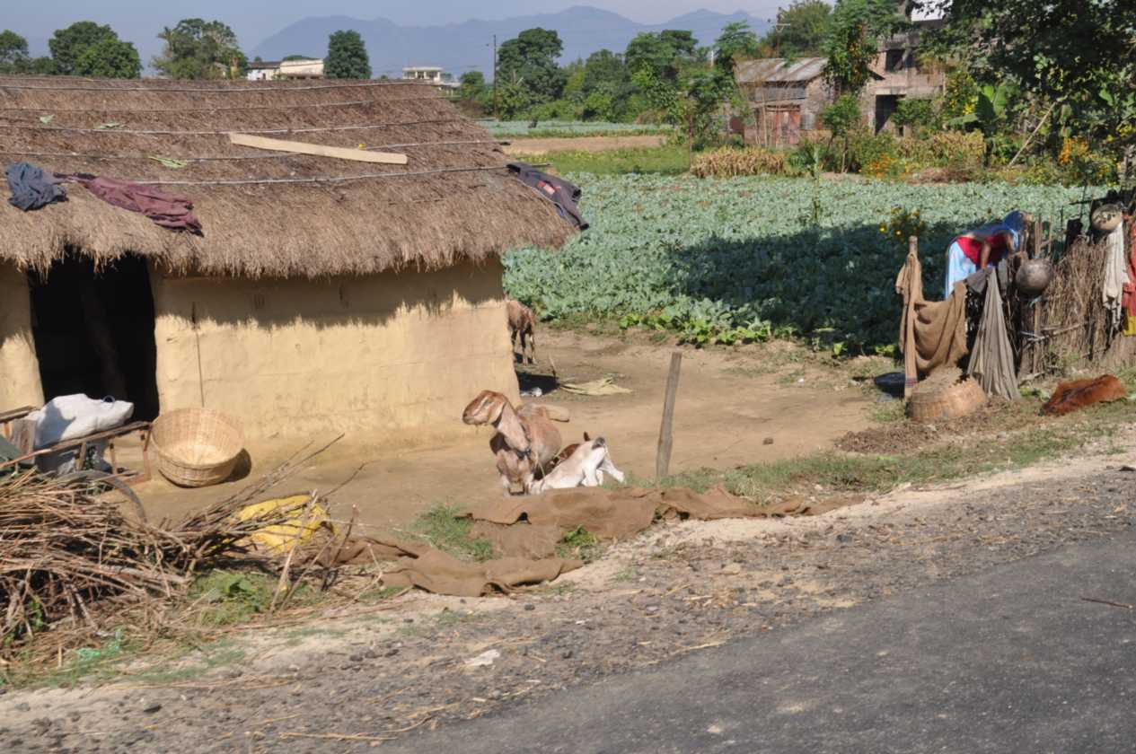 21-029 Chitwan