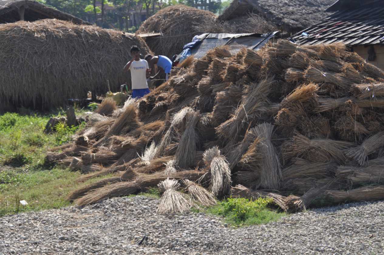 21-030 Chitwan