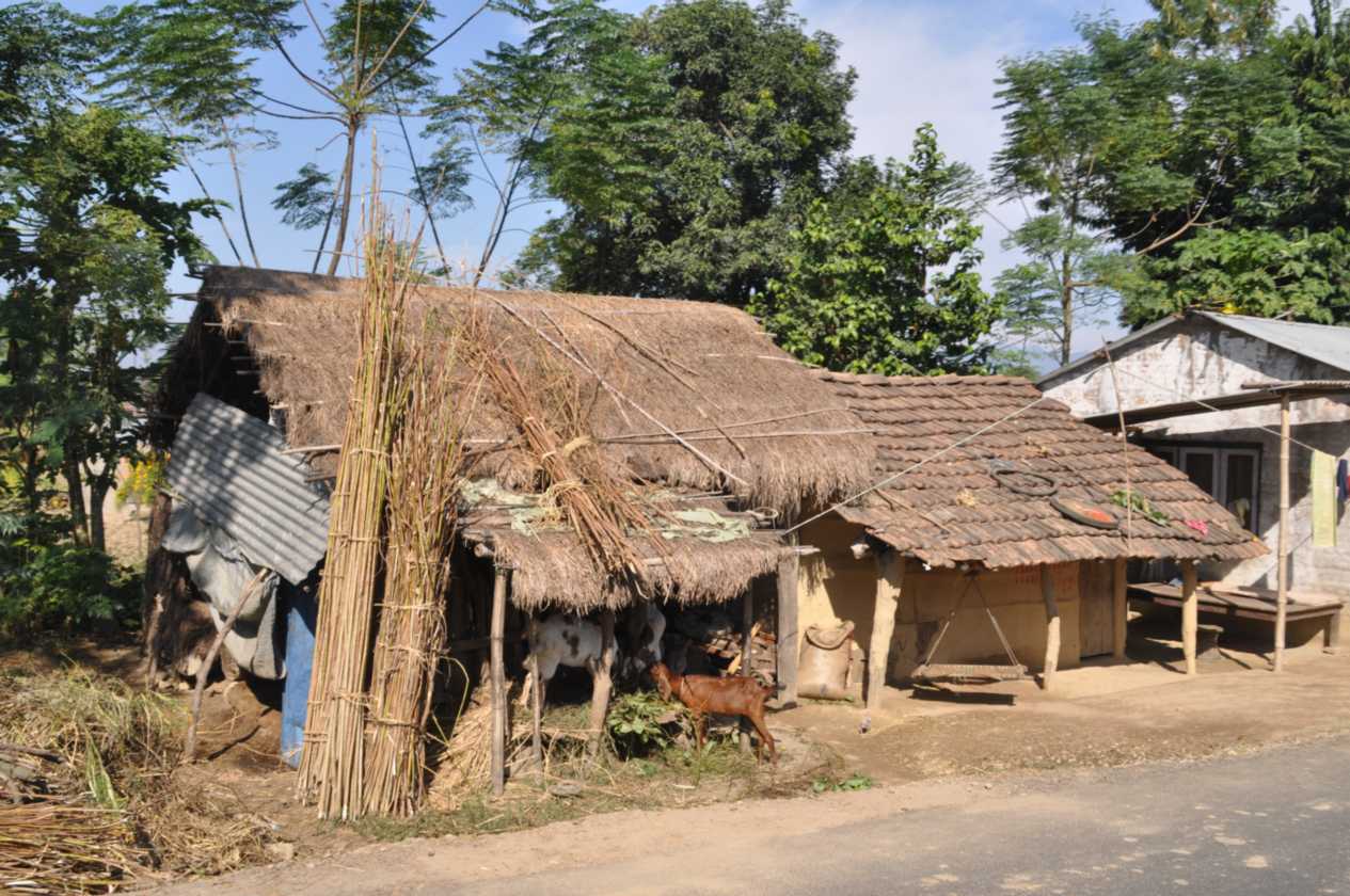 21-032 Chitwan
