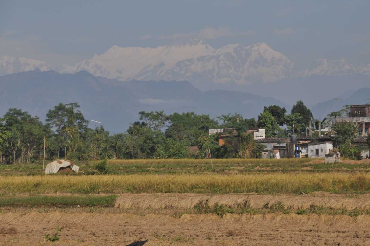 21-034 Chitwan