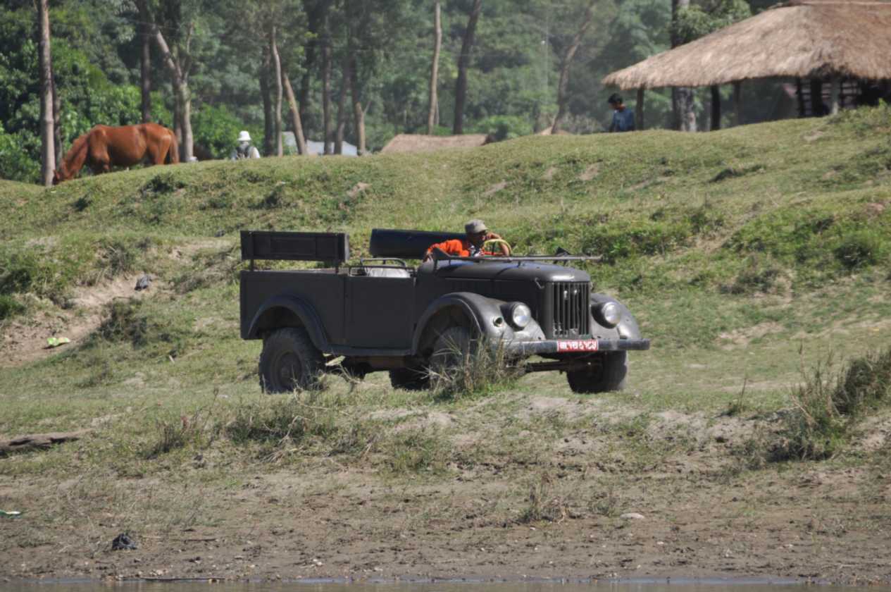21-038 Chitwan