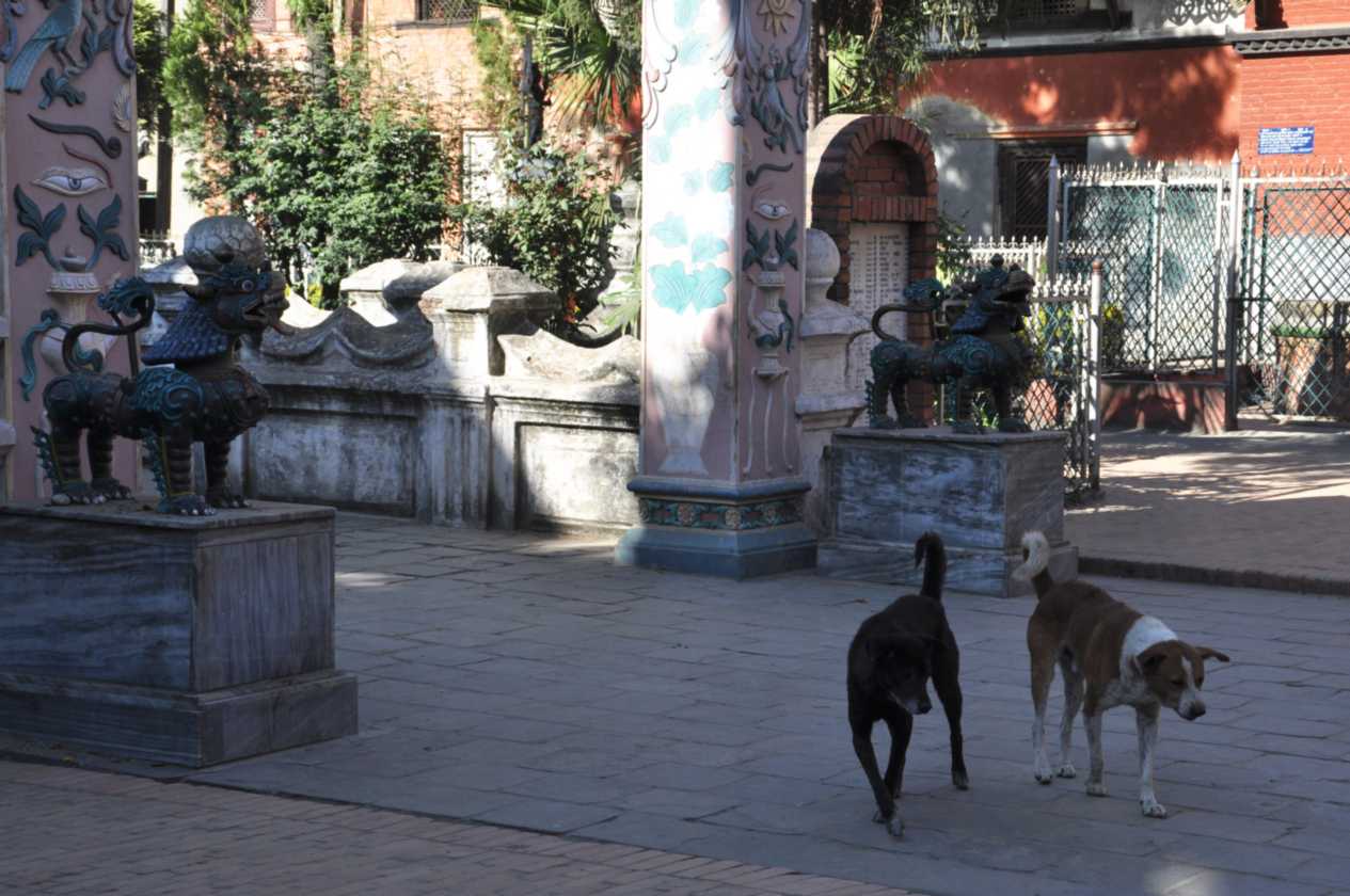 23-056 Patan