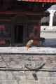 03-030 Kathmandu-tempels