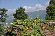 06-025 Pokhara