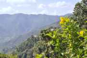 06-044 Pokhara