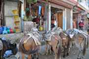07-012  Nayapul-Thike Dhunga