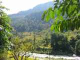 07-017  Nayapul-Thike Dhunga