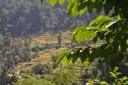 07-035  Nayapul-Thike Dhunga