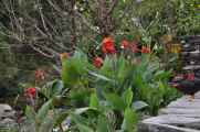 07-045  Nayapul-Thike Dhunga