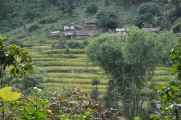 07-051  Nayapul-Thike Dhunga
