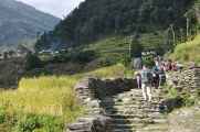 07-053  Nayapul-Thike Dhunga