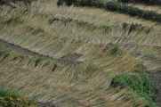 07-055  Nayapul-Thike Dhunga