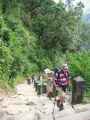 07-060  Nayapul-Thike Dhunga