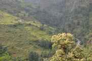 07-063  Nayapul-Thike Dhunga