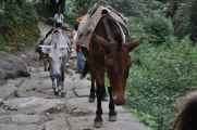 07-064  Nayapul-Thike Dhunga