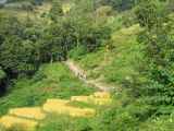 07-069  Nayapul-Thike Dhunga