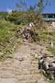 08-011 Thike Dhunga-Ghorepani