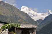 08-023 Thike Dhunga-Ghorepani