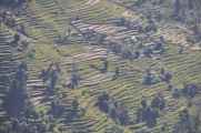 08-025 Thike Dhunga-Ghorepani