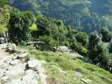 08-033 Thike Dhunga-Ghorepani