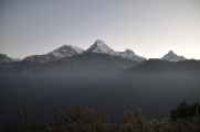 09-008 Ghorepani-Tadapani