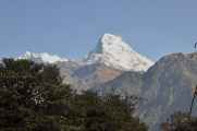 09-042 Ghorepani-Tadapani