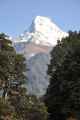 09-045 Ghorepani-Tadapani