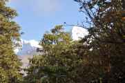 09-047 Ghorepani-Tadapani