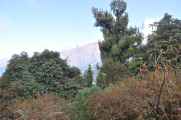 09-048 Ghorepani-Tadapani
