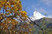 09-051 Ghorepani-Tadapani