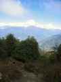 09-053 Ghorepani-Tadapani