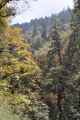 09-064 Ghorepani-Tadapani